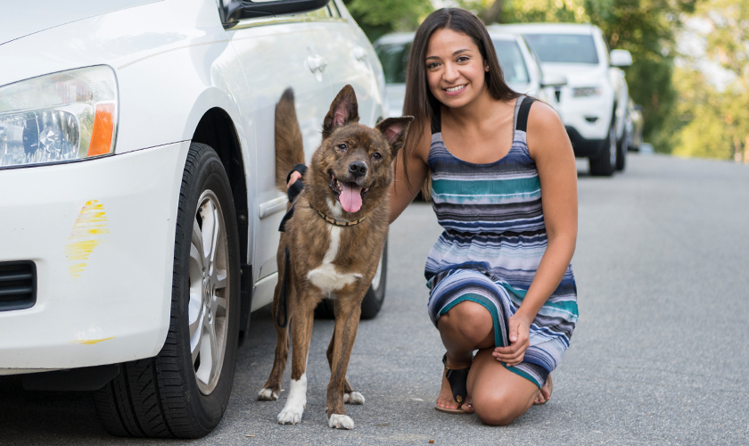 A woman kneels down next to her dog sitting next to a white car.