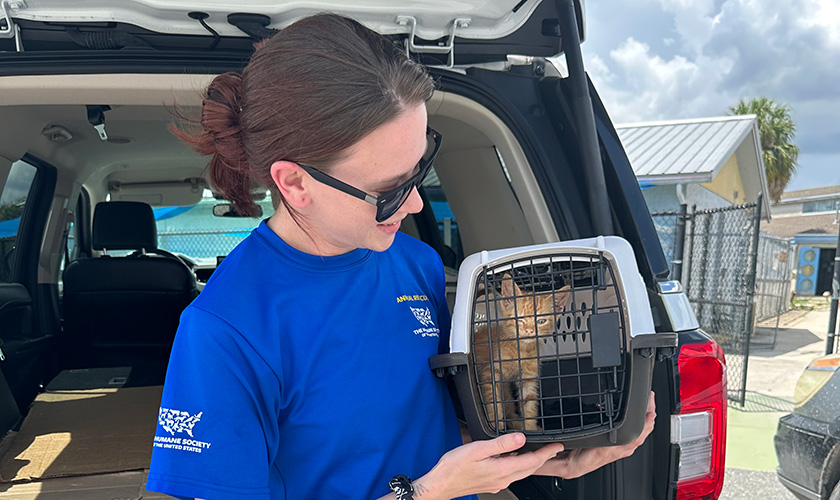 A person holding a cat crate