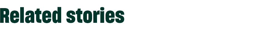 Related Stories