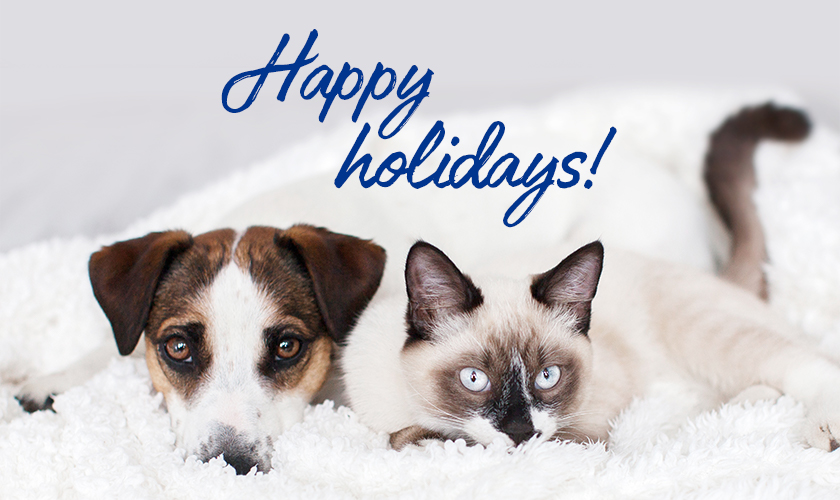 Photo of a dog and cat laying on a white blanket with text that reads happy holidays.