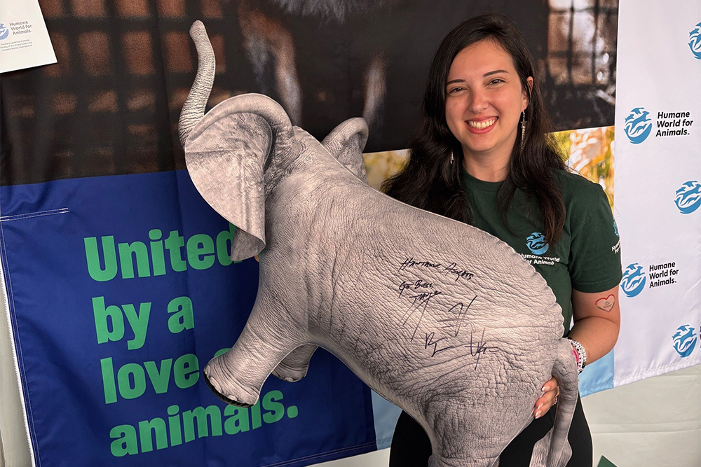 Humane World staff holding the signed elephant