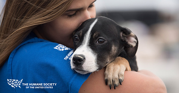 Protect Animals | Give a Gift - The Humane Society of the United States