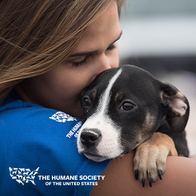 how much does it cost to adopt a dog from the oregon humane society