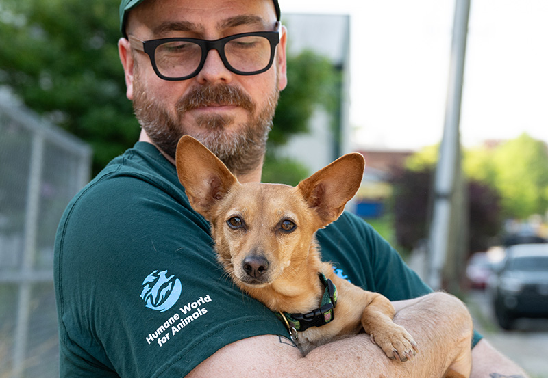 Humane World for Animals rescuer with dog