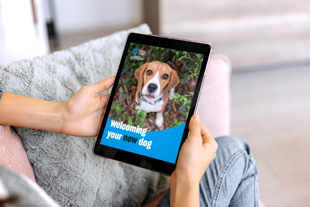 ebook welcoming new dog