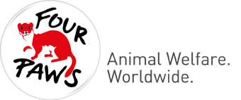 Animal Charity
