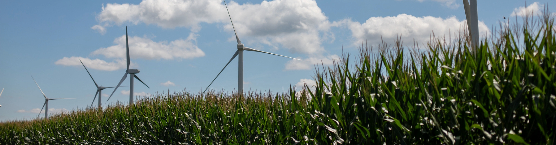 renewable energy