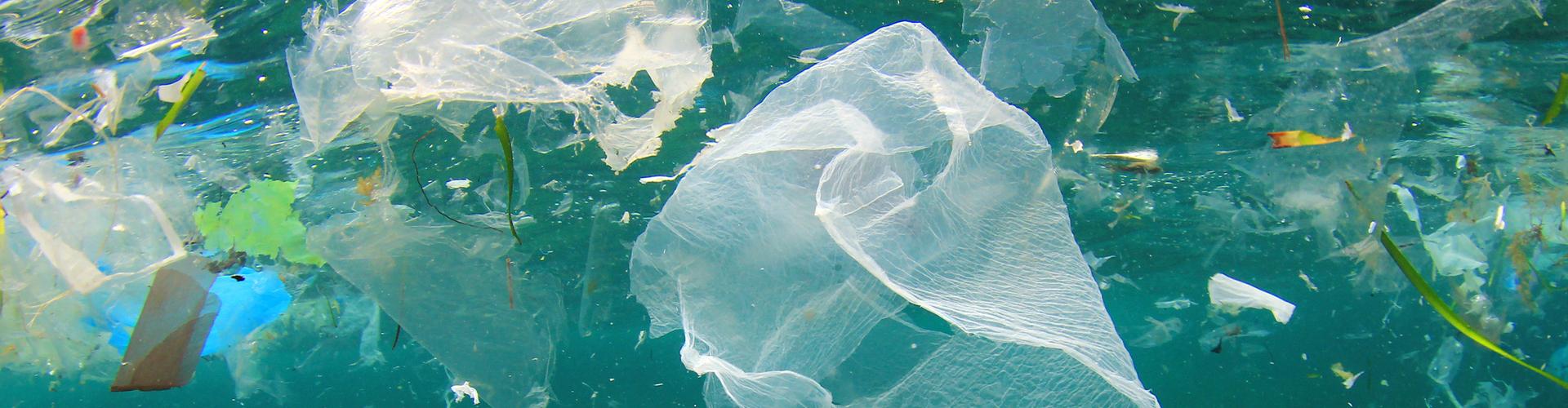 plastic bags floating in water