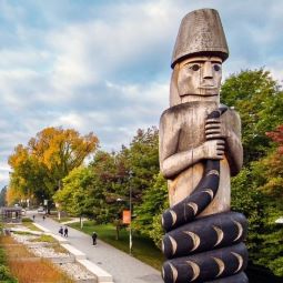 Indigenous Institute