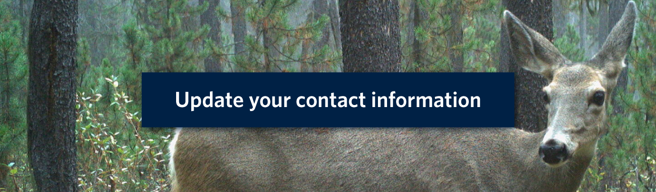 Update your contact information