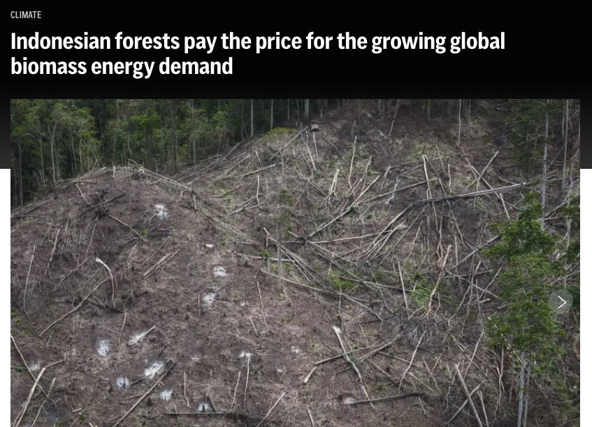 The AP's investigation exposed deforestation near wood pellet production facilities in Indonesia