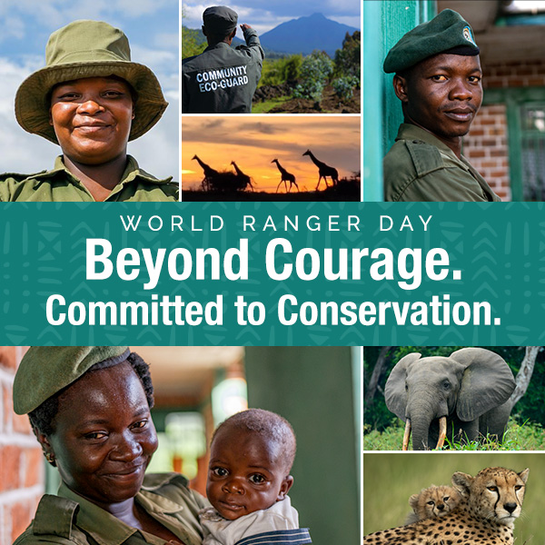 Rangers and Community Eco-Guards with text: World Ranger Day. Beyond Courage. Committed to Conservation.