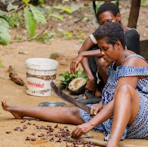 The forest serves as a source of food and medicine to the Indigenous community in Nyamabande, Campo Ma'an landscape, South Cameroon.