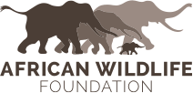 African Wildlife Federation