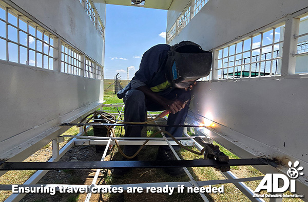 Ensuring travel crates are ready if needed