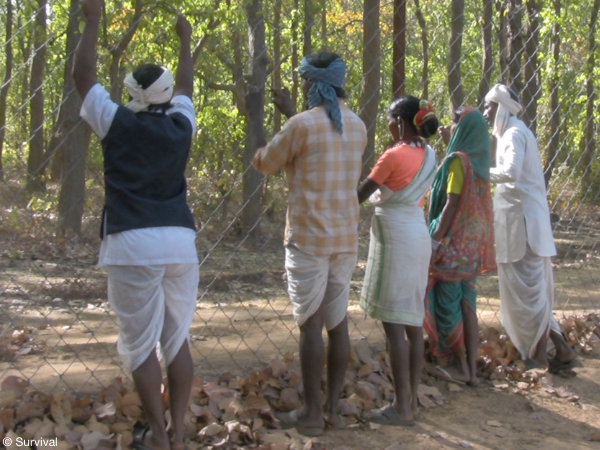 Adivasi