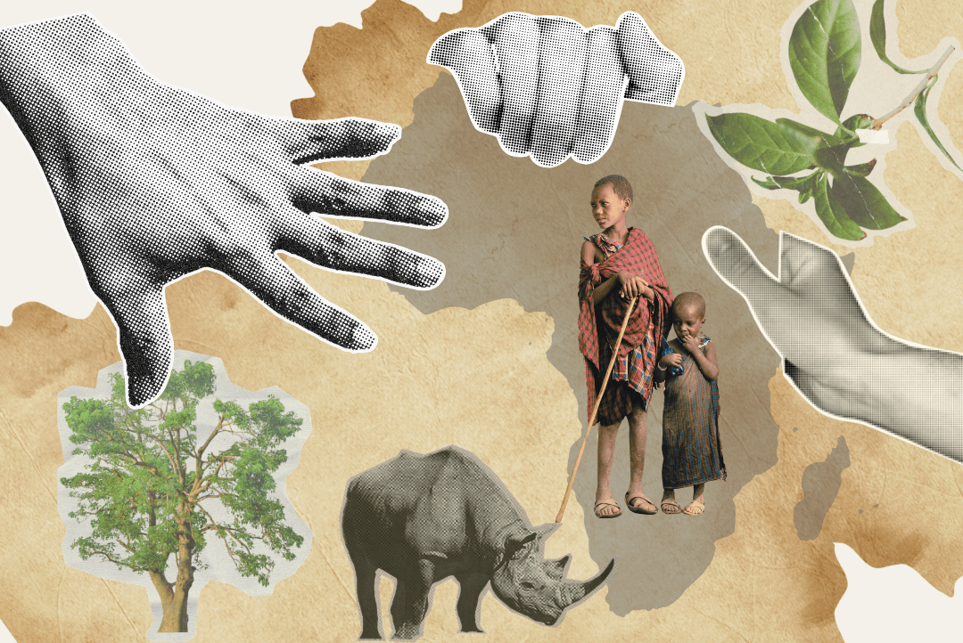 GIF naturaleza sin personas