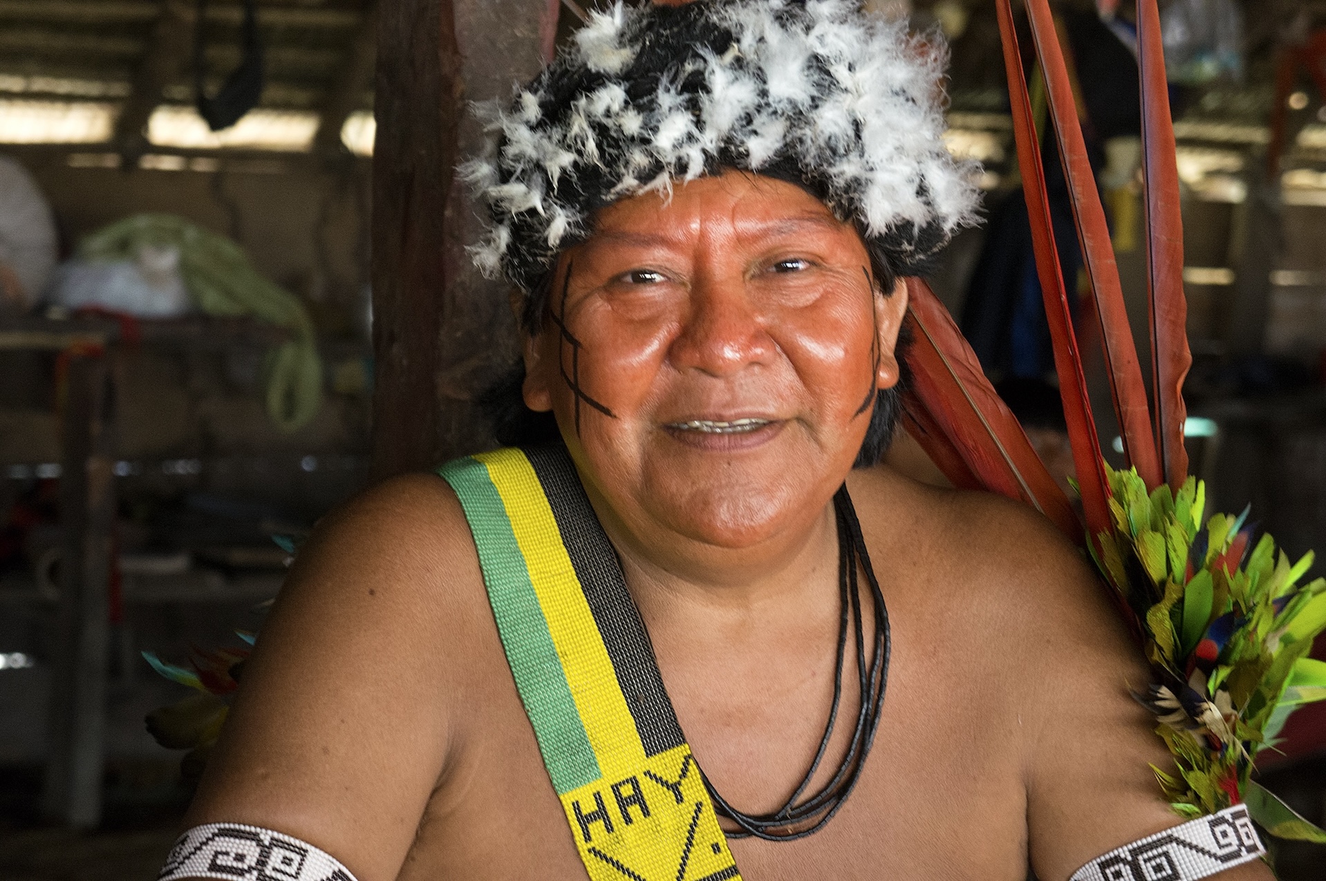 Davi Yanomami