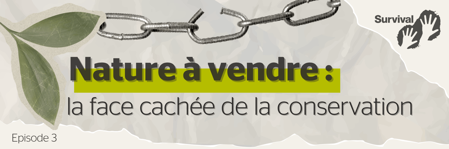 Survival International