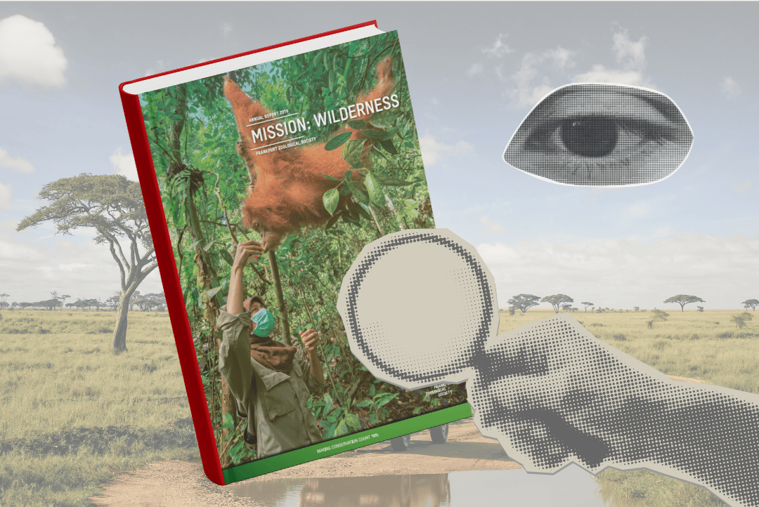 GIF Nature sans humains