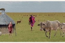 GIF nature sans humains