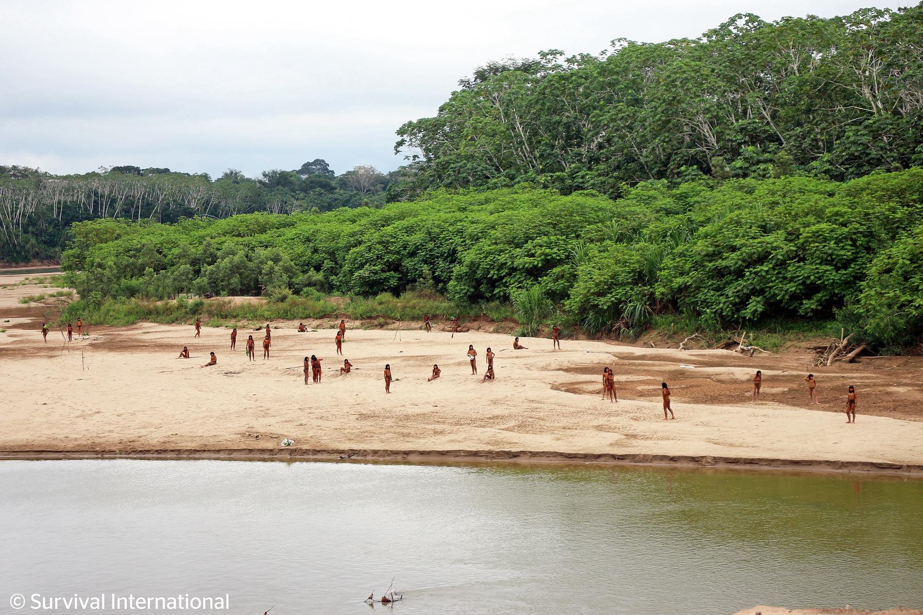 Several Mashco Piro men standing on a beach river bank.