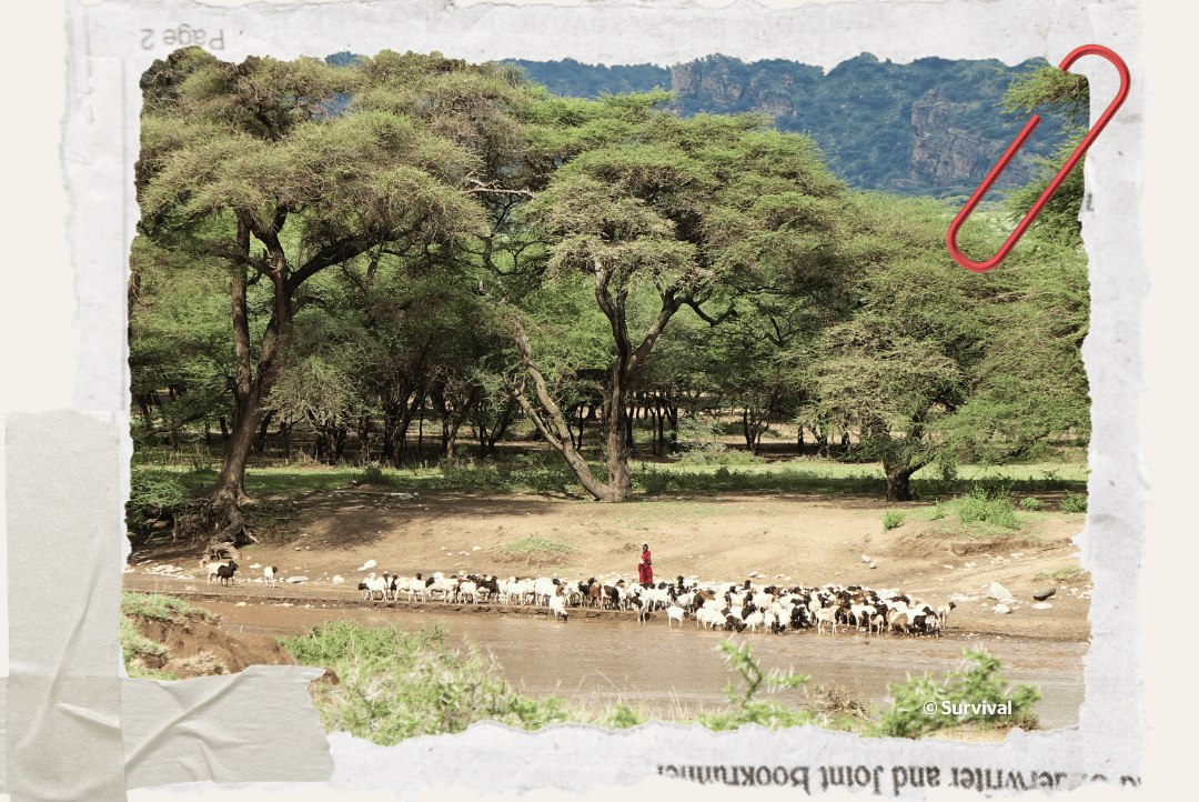 Ngorongoro