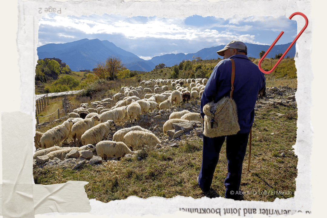 Pastor pirineos
