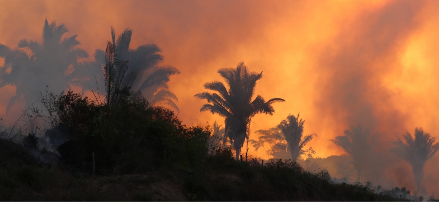 Amazon fires