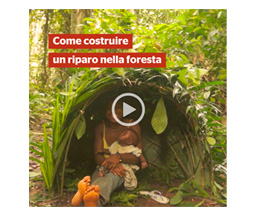 screenshot video