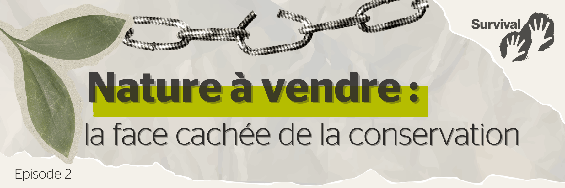 Survival International