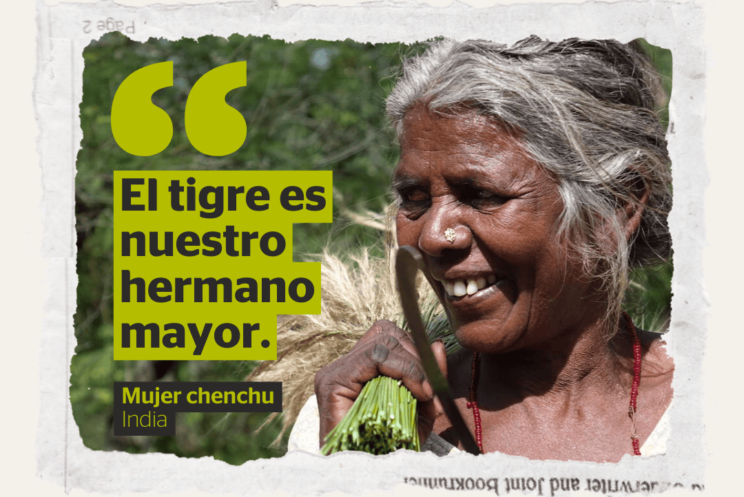 GIF naturaleza sin personas