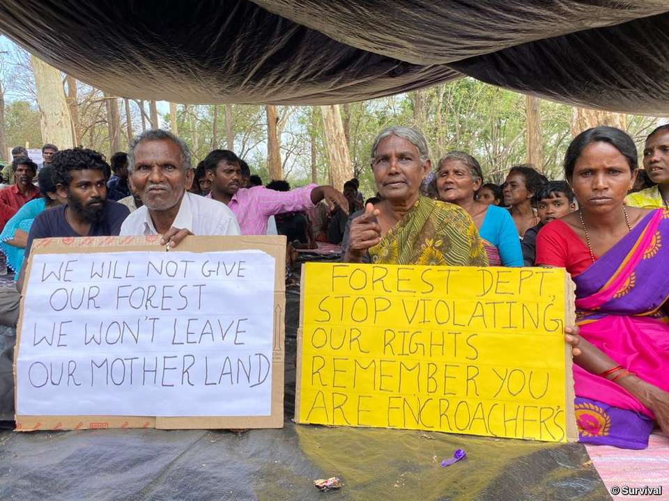 A picture of the Jenu Kuruba protesting with placards. They read: We will not give our forest. We won't leave our motherland and Forest Dept. Stop Violating our rights, remember you are encroachers. 