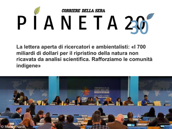 screenshot articolo