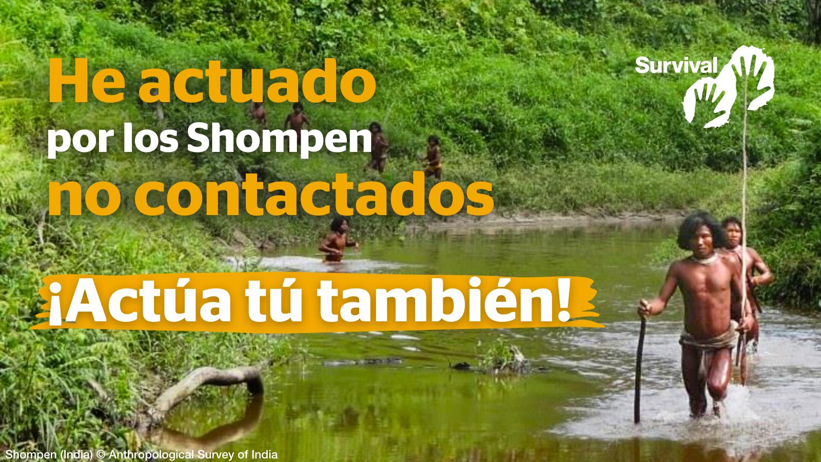 Los shompen se enfrentan a la aniquilación: necesitan urgentemente tu ...