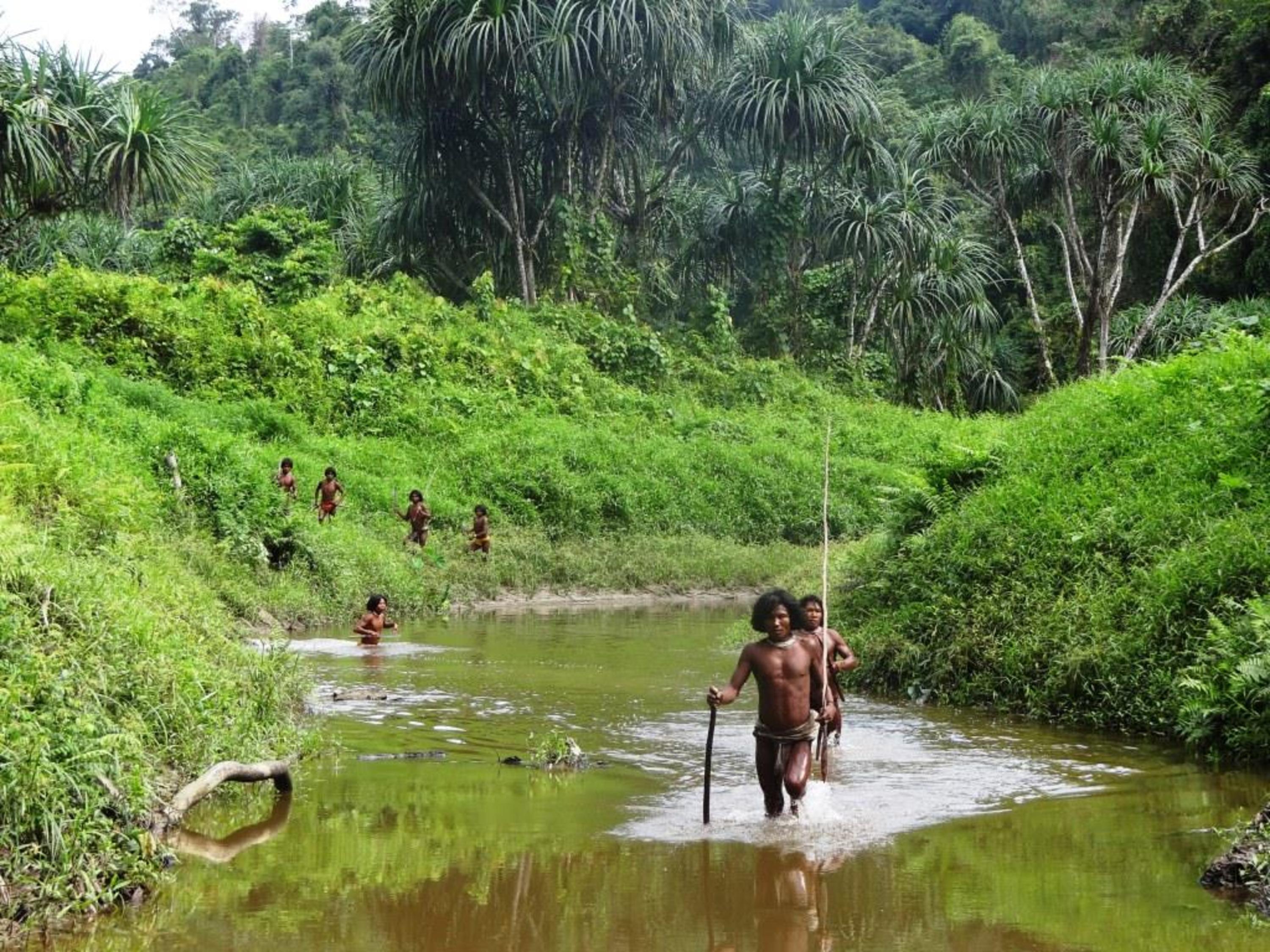 SHOMPEN: Uncontacted tribe in India faces genocide in the name of ‘mega-development’.