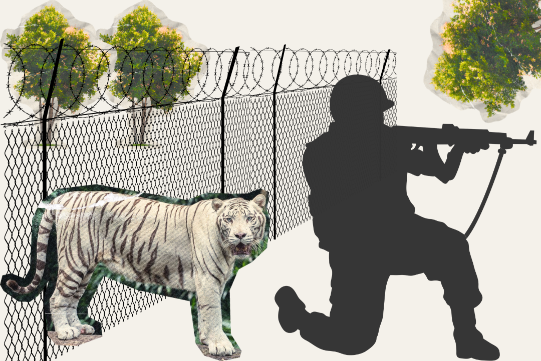 Image illustrant la violence commise au nom de la conservation