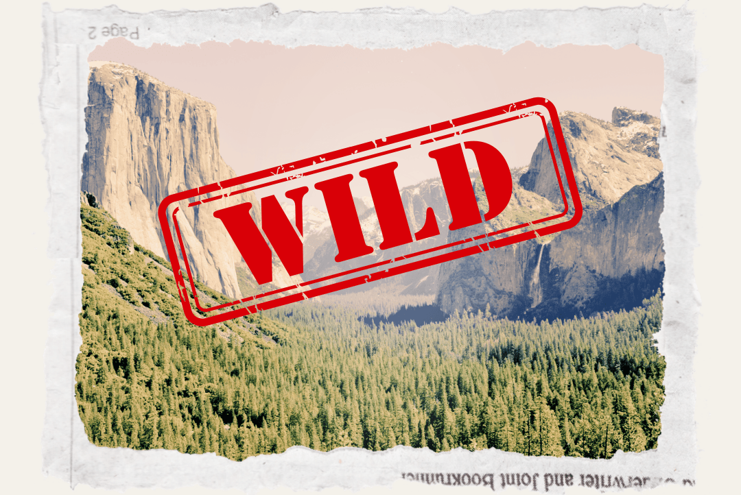 Label nature sauvage