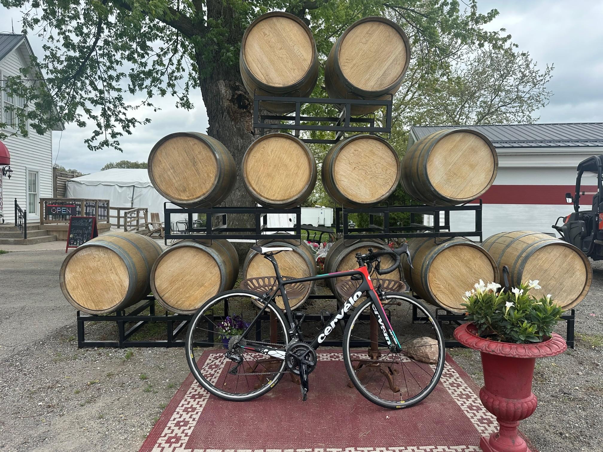 Cyclists at the winery