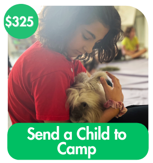 Send a Child to Camp