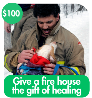 Give a fire house the gift of healing