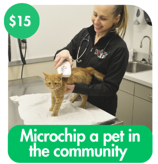 Microchip a pet in the community 