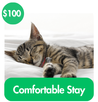 Comfortable Stay