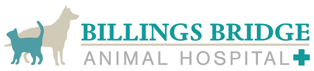  Billings Bridge Animal Hospital