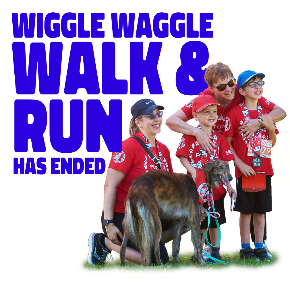 Wiggle Waggle run and walk