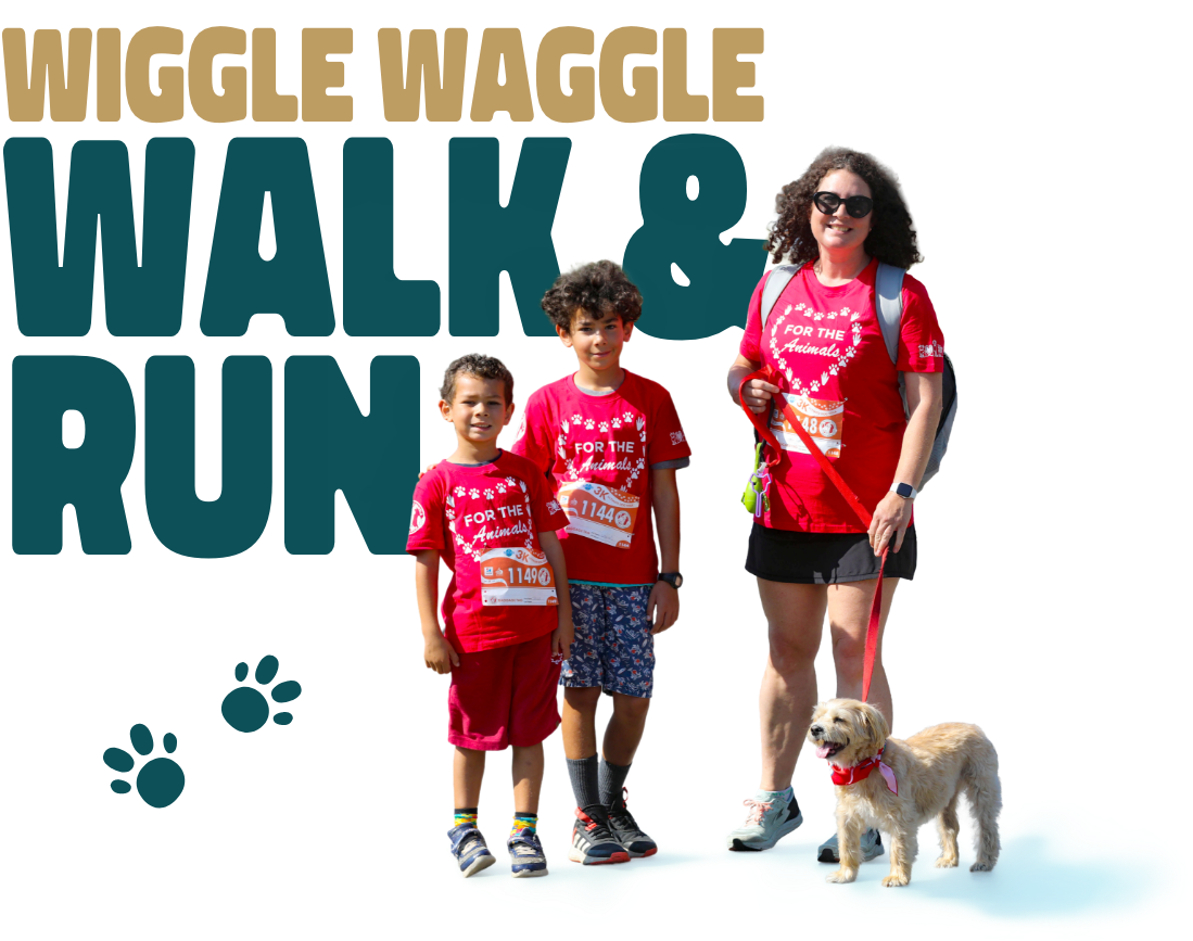 Wiggle Waggle run and walk