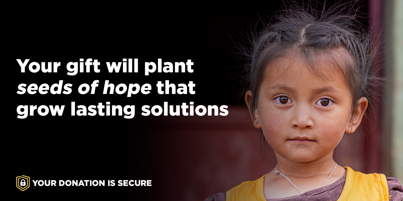 Your gift will plant seeds of hope that grow lasting solutions.