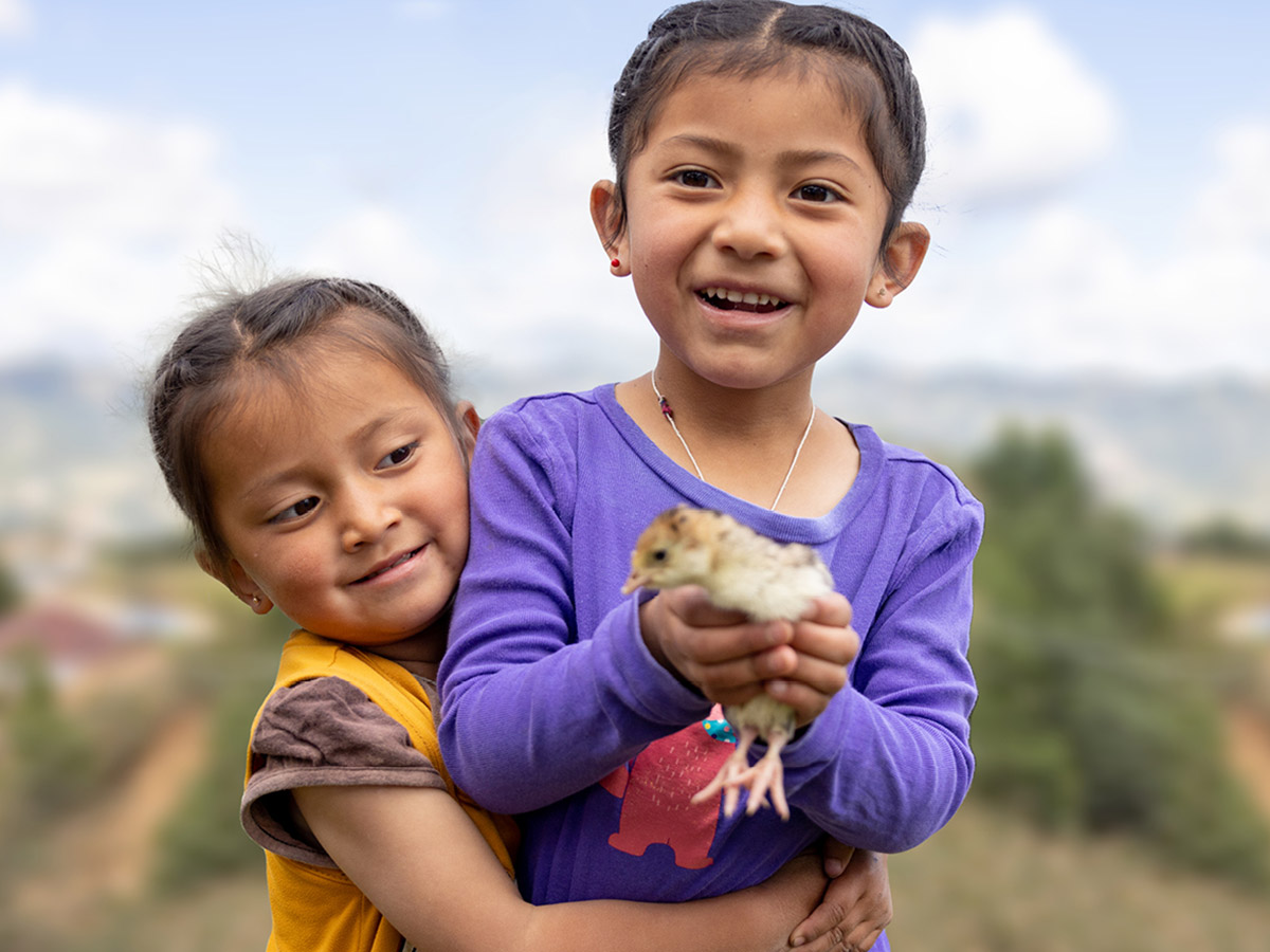 Gifts of Love Catalog Lutheran World Relief