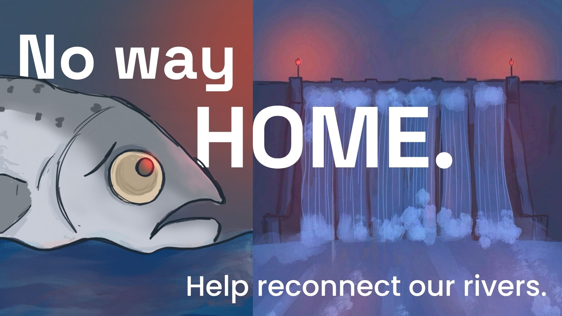 Action Fish Take action to help fish move freely | WildFish