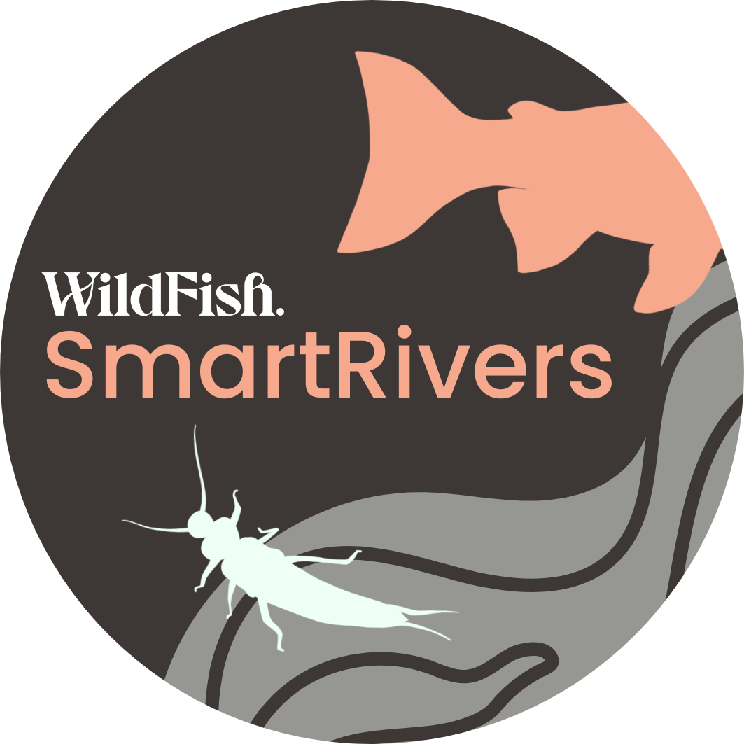 WildFish